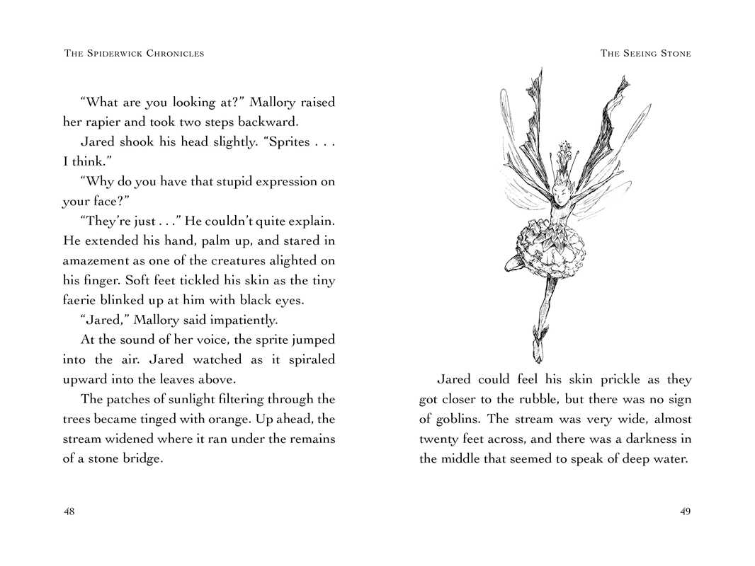 The Spiderwick Chronicles: Seeing Stone Book 2 by Tony DiTerlizzi
