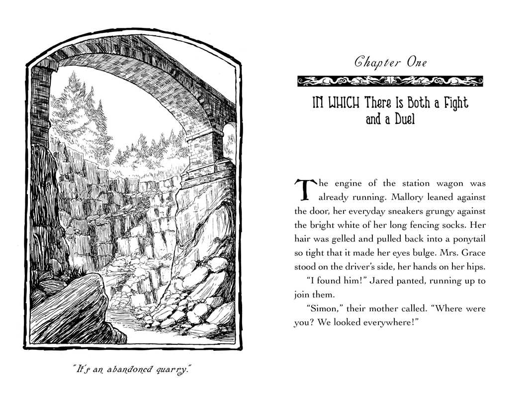 The Spiderwick Chronicles: Ironwood Tree Book 4 by Tony DiTerlizzi