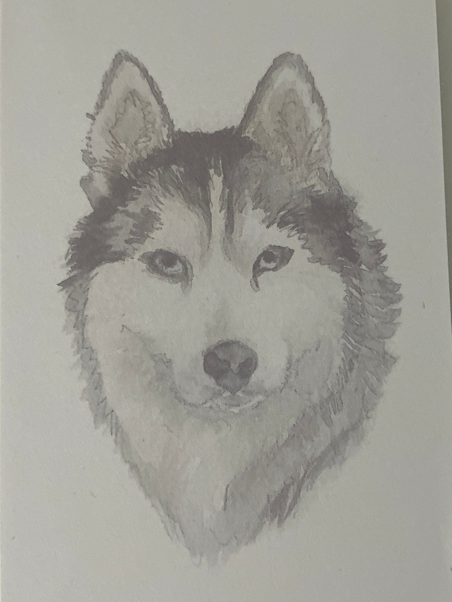 Husky Notepad