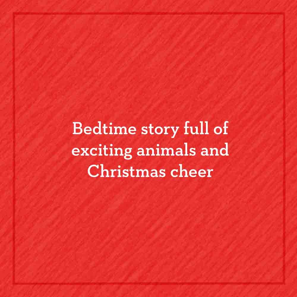 Steam Train, Dream Train: Next Stop, Christmas! by Sherri Dusky Rinker and AG Ford