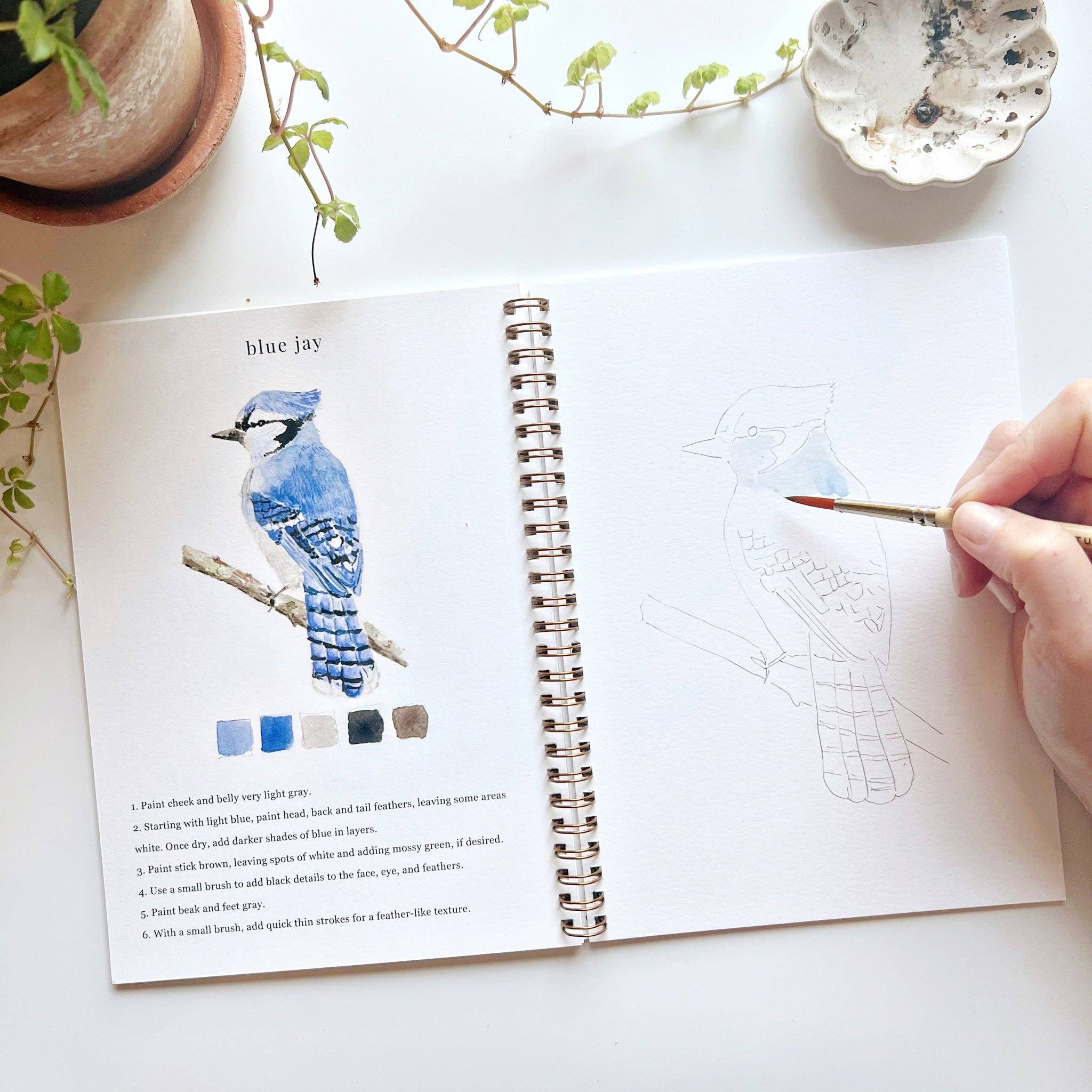 Emily Lex Birds Watercolor Workbook