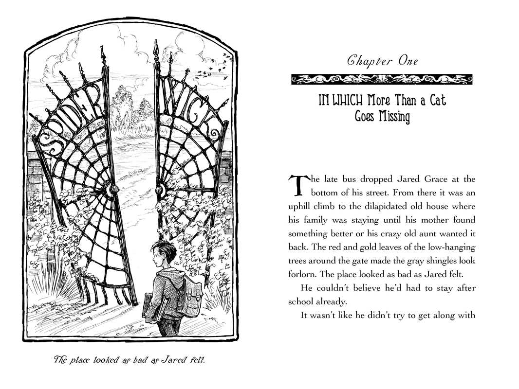 The Spiderwick Chronicles: Seeing Stone Book 2 by Tony DiTerlizzi