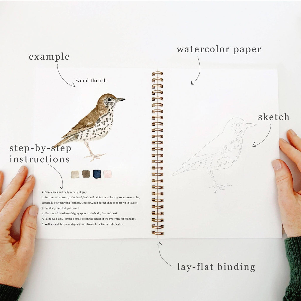 Birds watercolor workbook