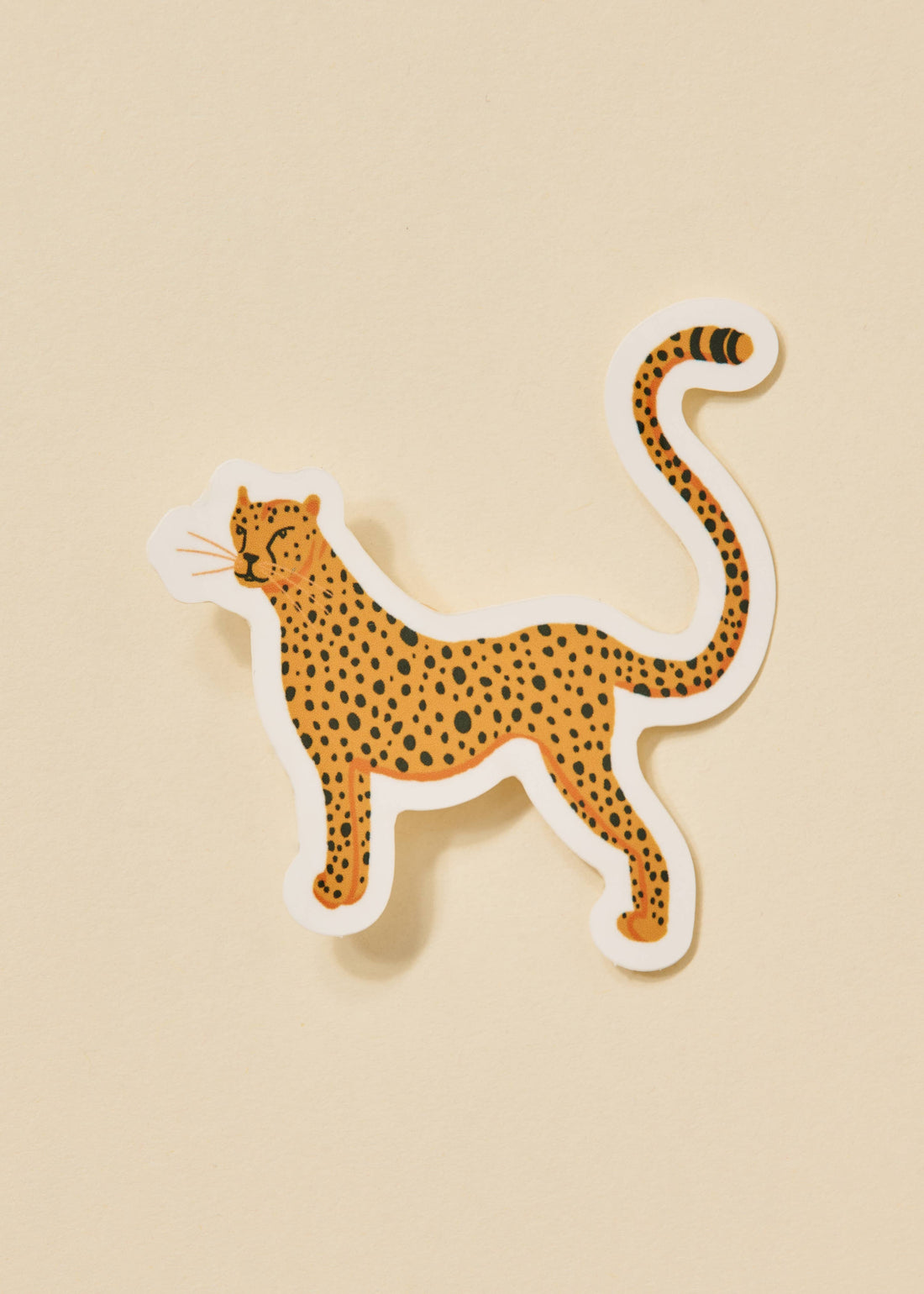 Cheetah Sticker
