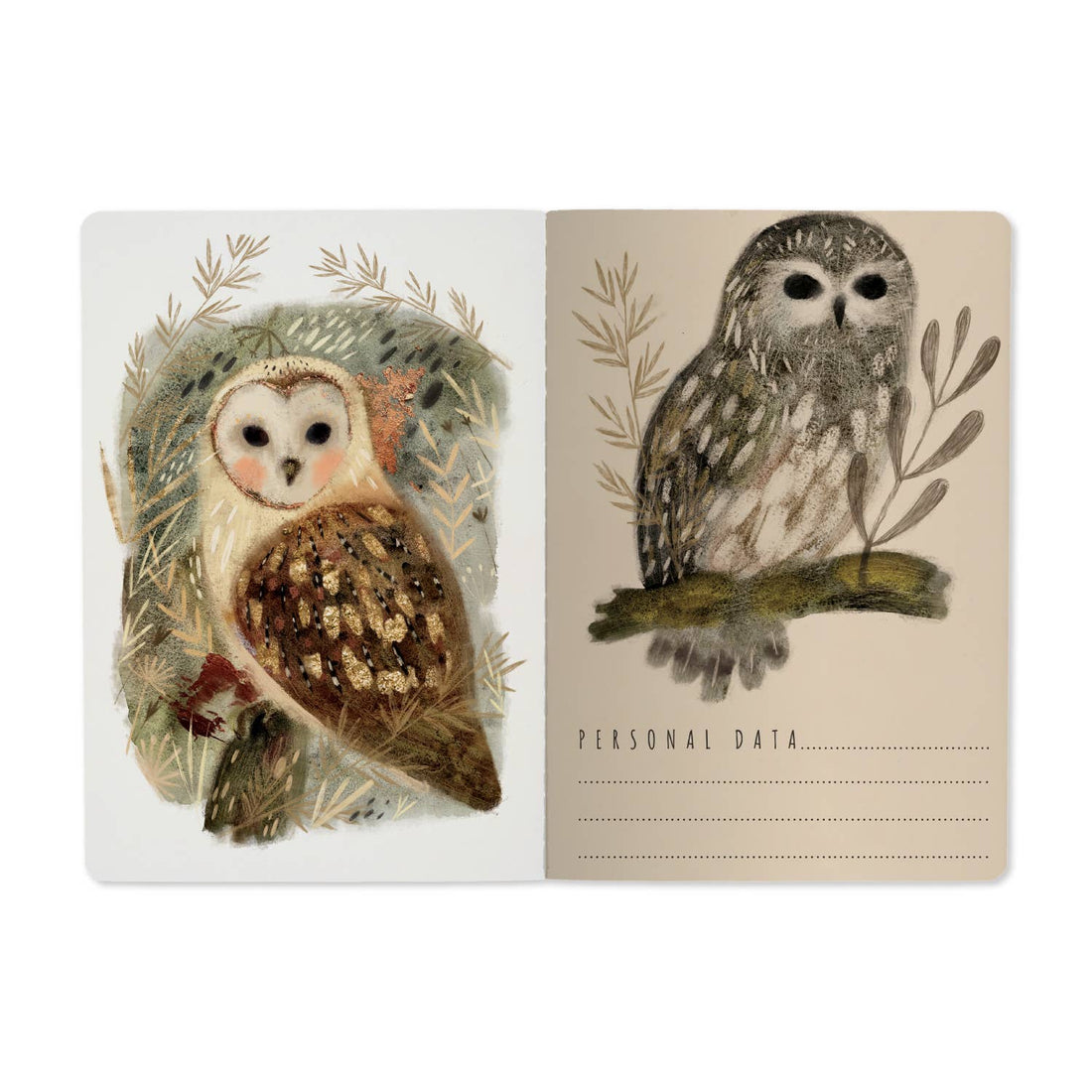 Bruno Visconti Owls Notebook