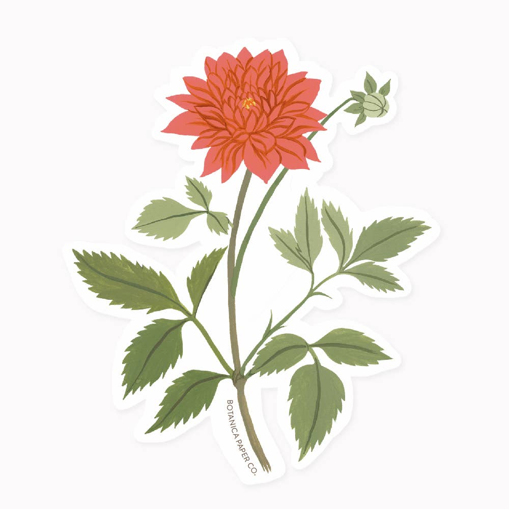 Dahlia Sticker