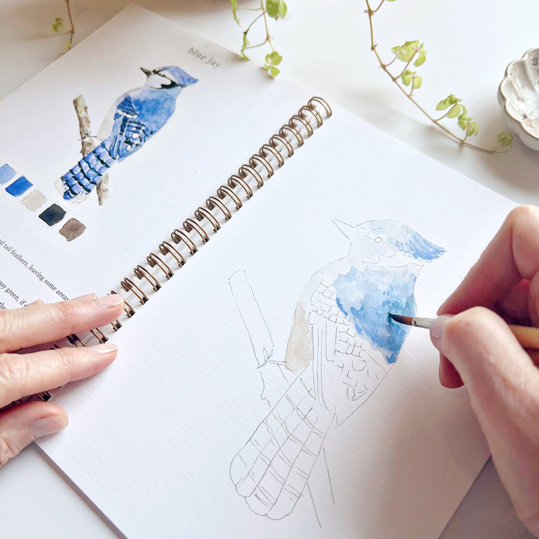 Emily Lex Birds Watercolor Workbook