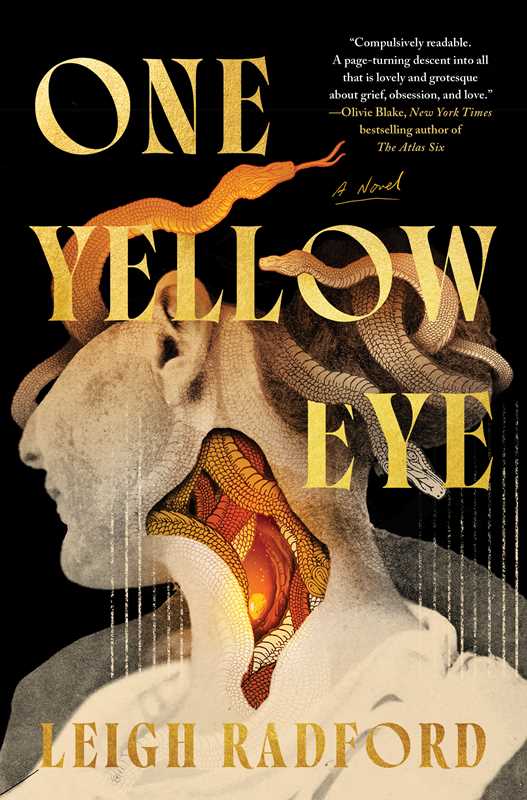 One Yellow Eye: A Novel by Leigh Radford