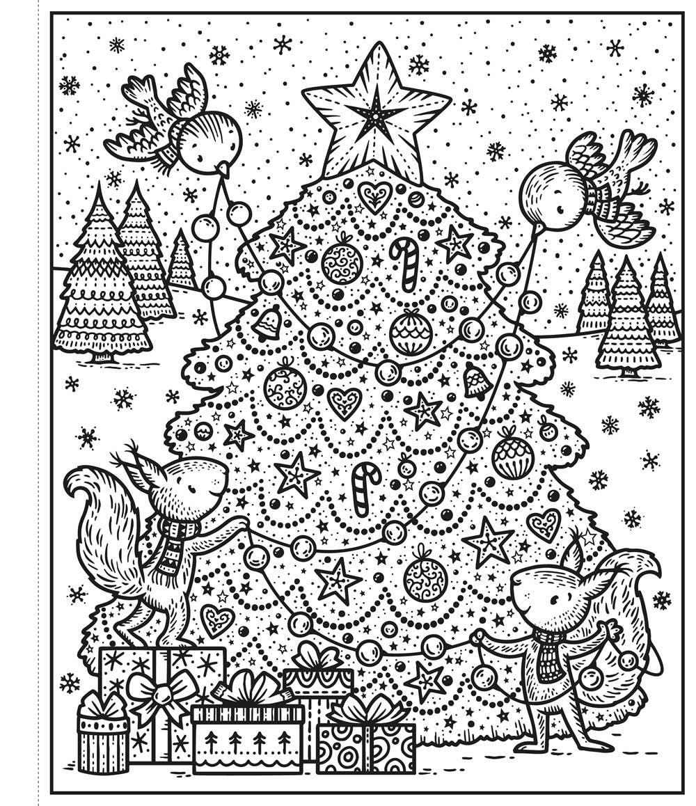 Enchanted Christmas Magic Paint Book: Usborne by Fiona Watt