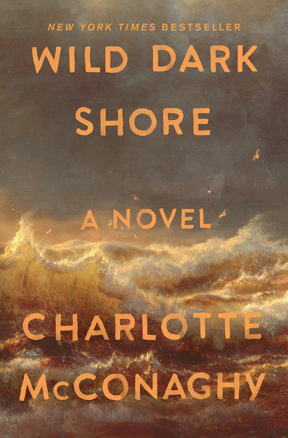 Wild Dark Shore: A Novel by Charlotte McConaghy