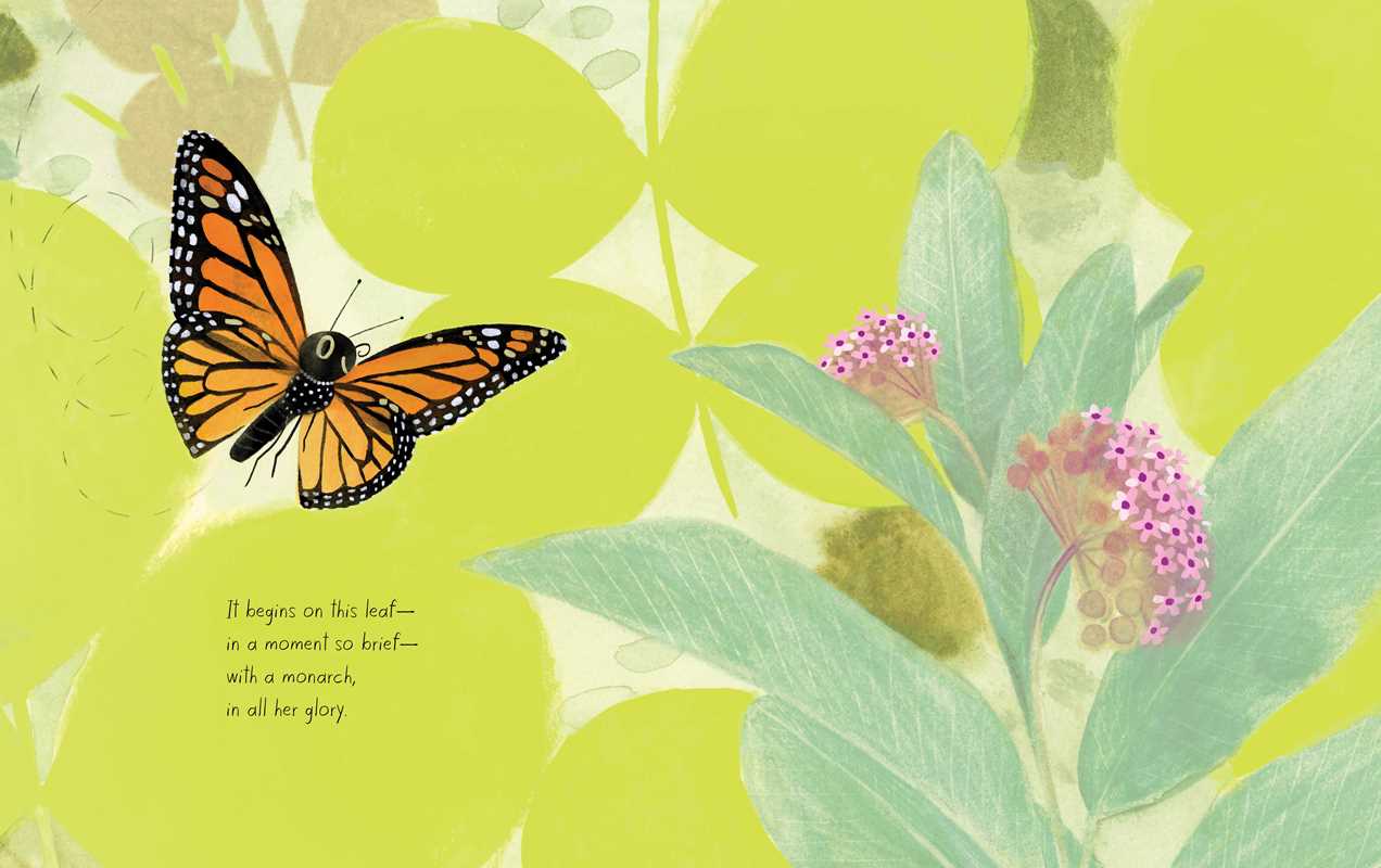 Monarch: Honeybee and Friends by Kirsten Hall