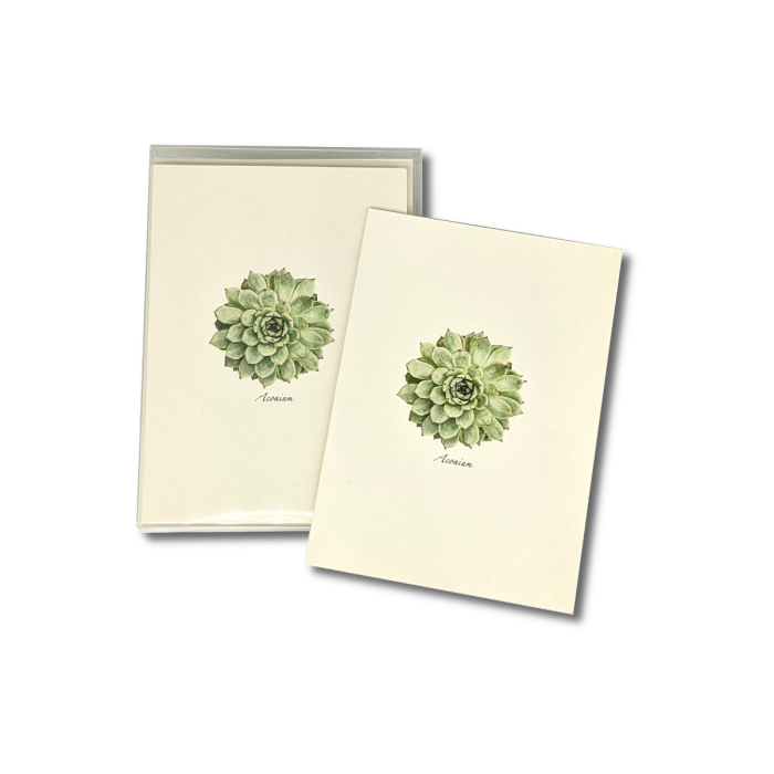 Succulent Greeting Card Set