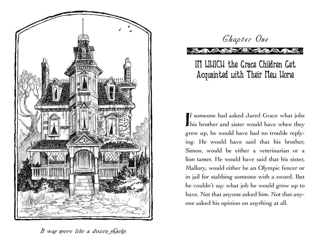The Spiderwick Chronicles: Field Guide Book 1 by Tony DiTerlizzi