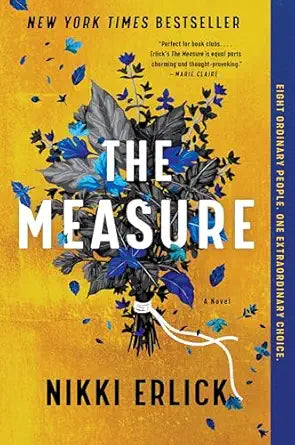 The Measure: A Novel by Nikki Erlick