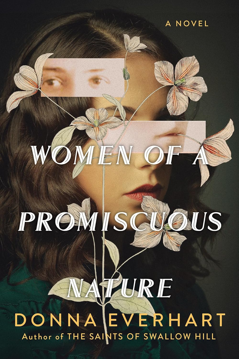 Women of a Promiscuous Nature: A Novel by Donna Everhart
