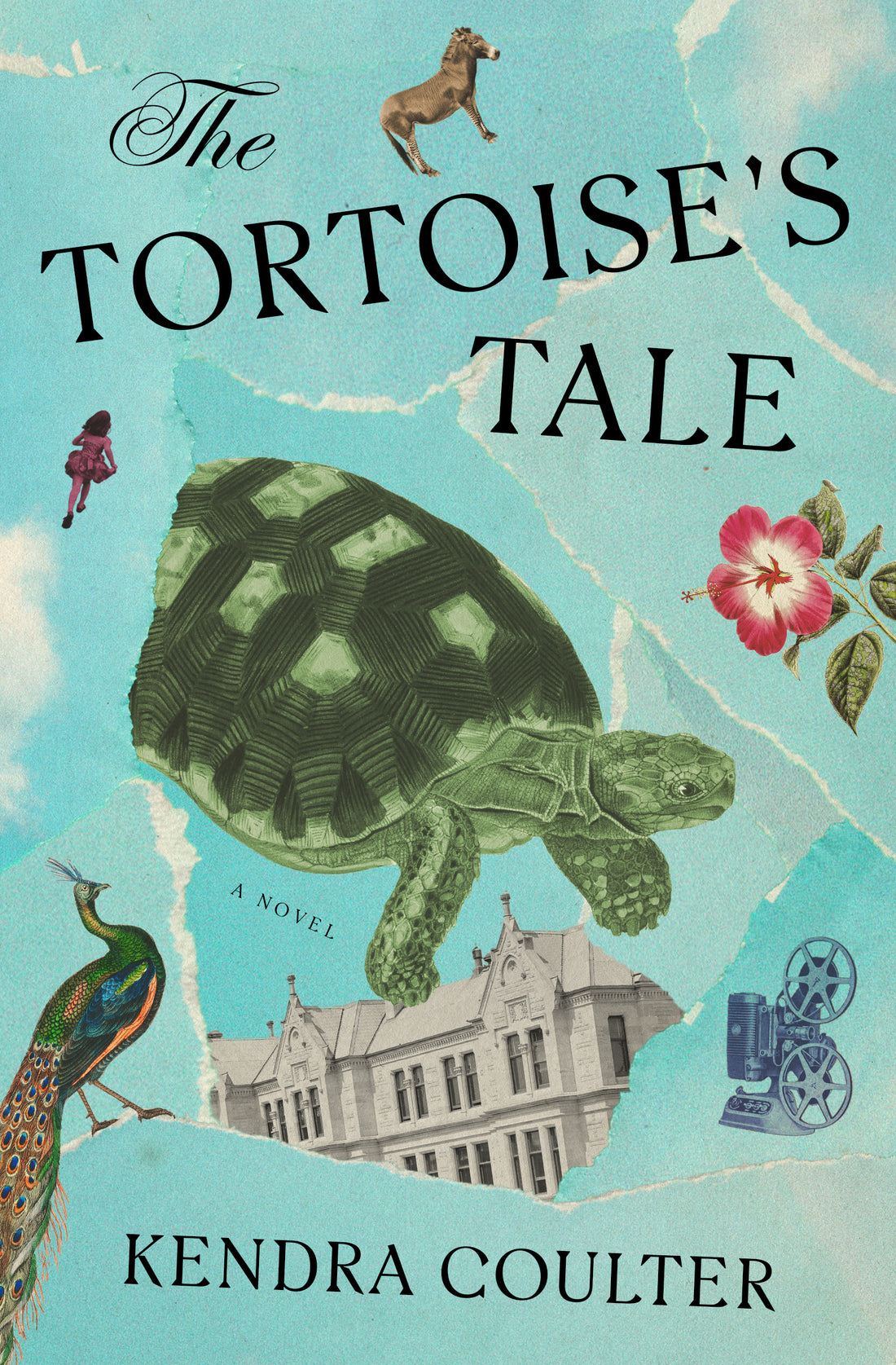 The Tortoise&