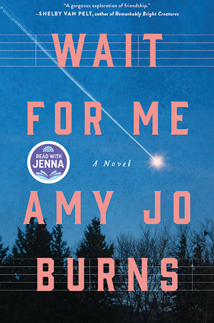 Wait for Me: A Novel by Amy Jo Burns