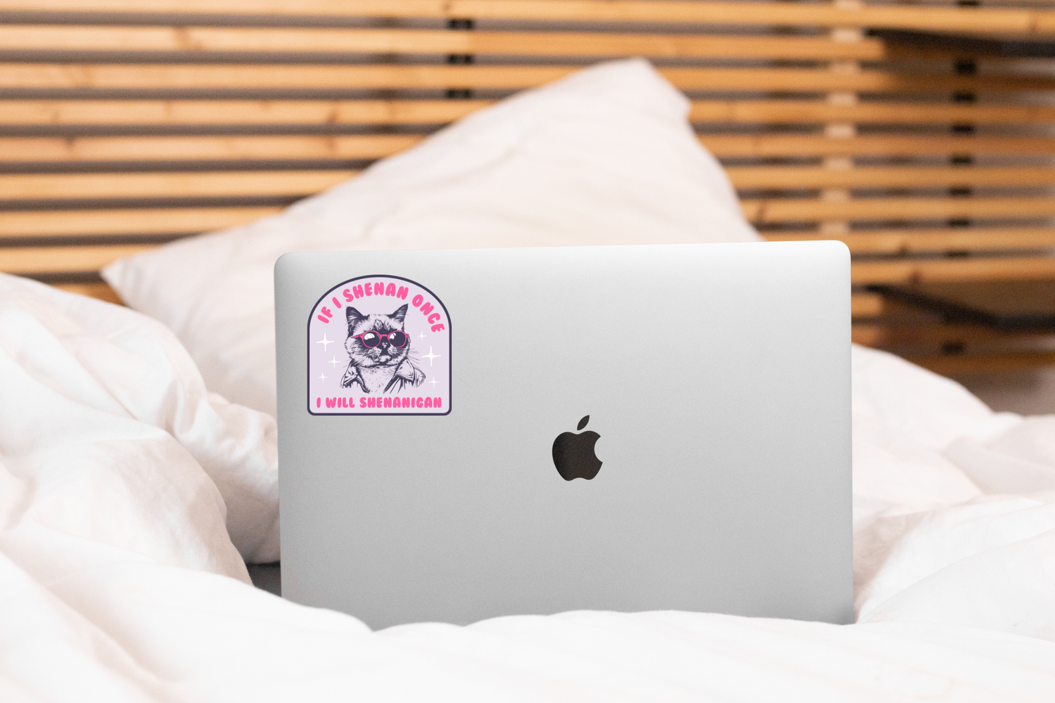 If I Shenan Once I Will Shenanigan Sticker