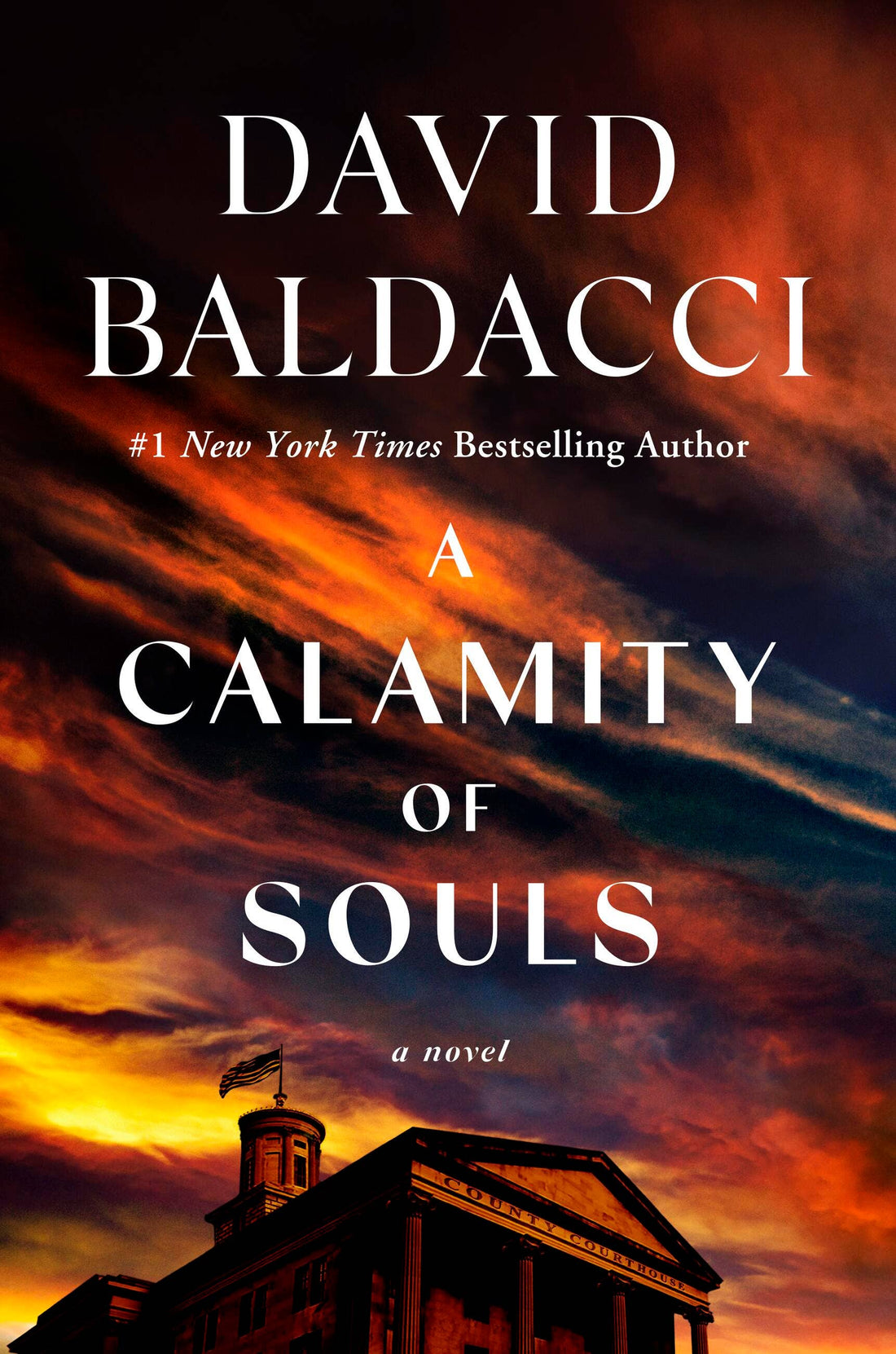 A Calamity of Souls: A Novel by David Baldacci