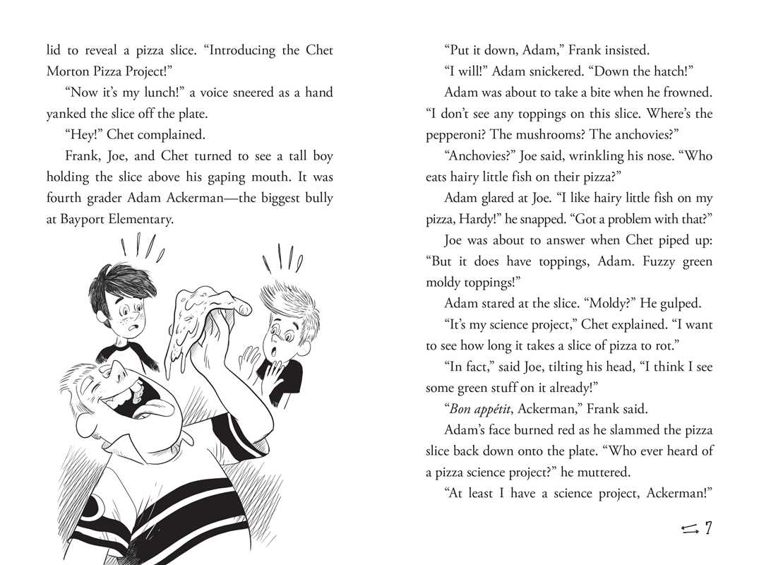 Hardy Boys Clue Book: Time Warp Wonder Book 8 by Franklin W. Dixon