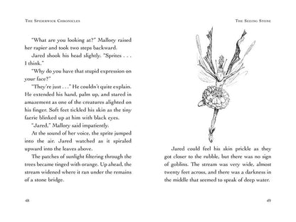 The Spiderwick Chronicles: Seeing Stone Book 2 by Tony DiTerlizzi