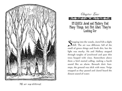 The Spiderwick Chronicles: Seeing Stone Book 2 by Tony DiTerlizzi