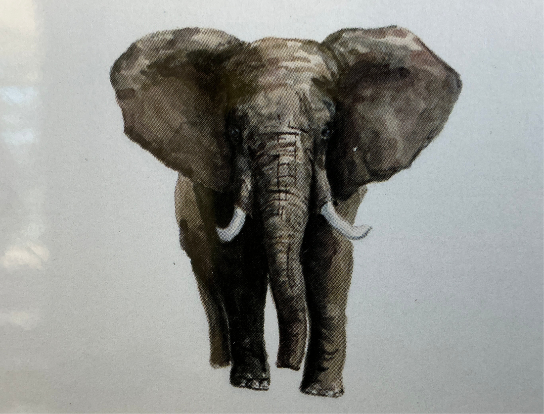 Elephant Watercolor Notepad