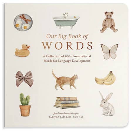 Our Big Book Of First Words by Tabitha Paige
