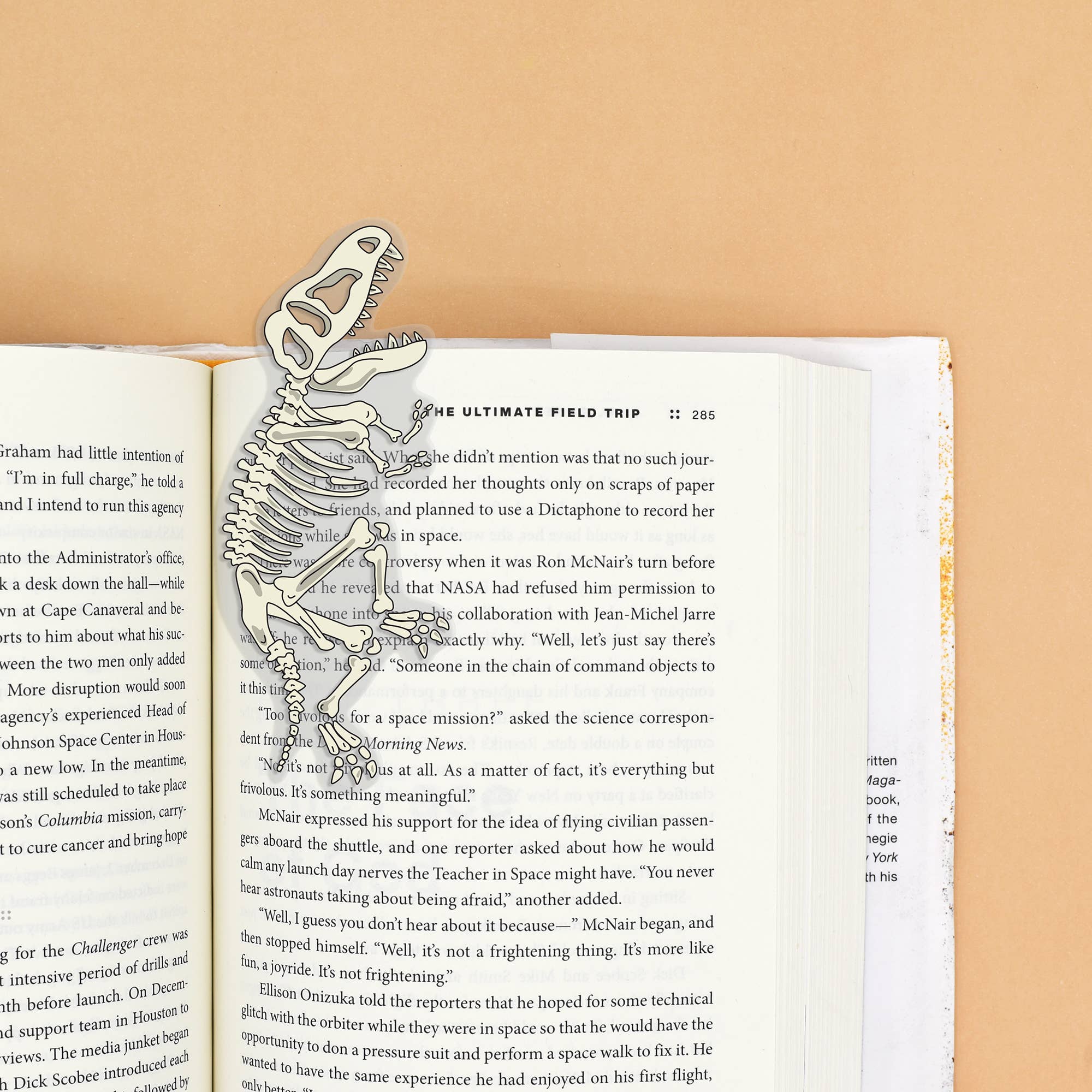 Dinosaur Bones Bookmark (it&