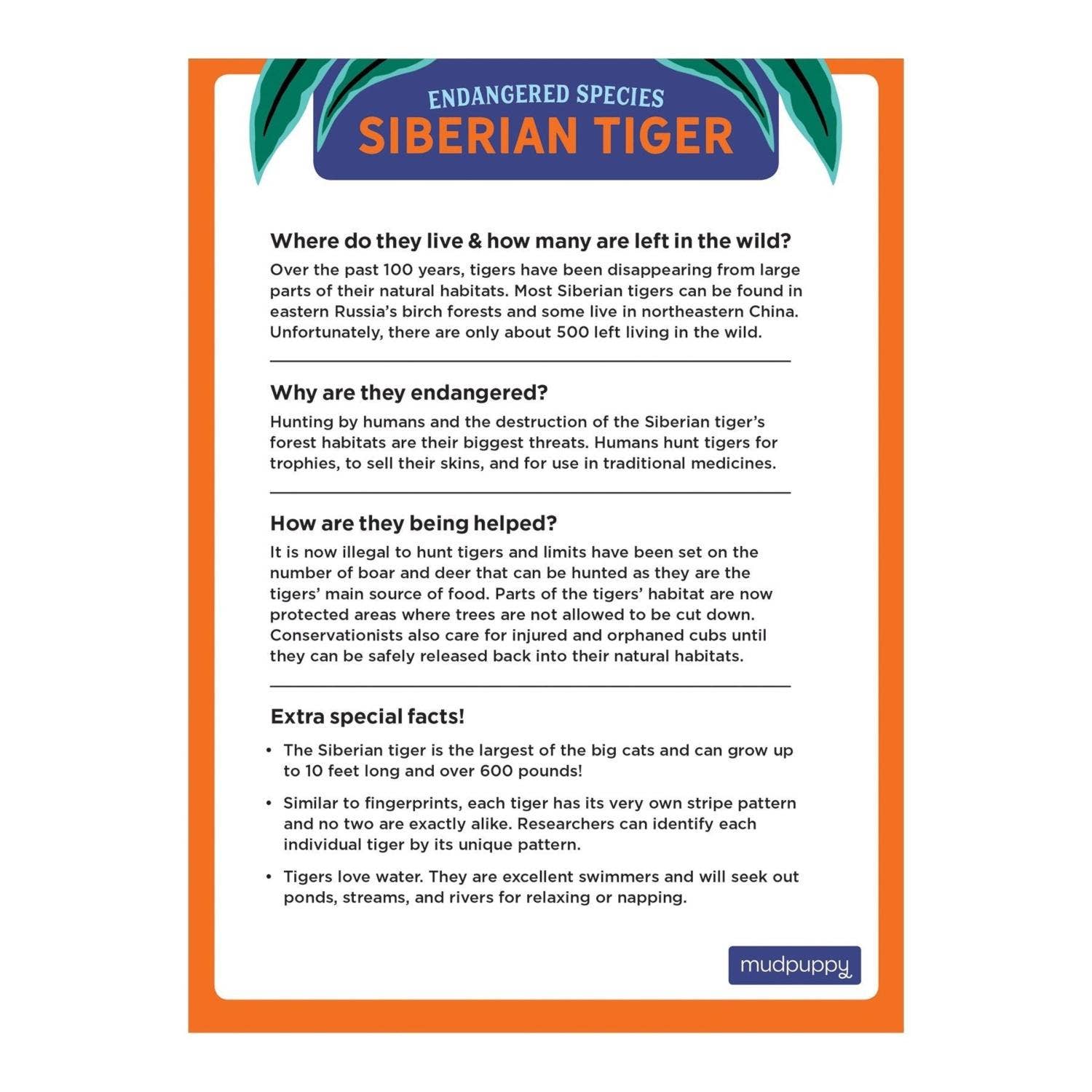 Mudpuppy: Siberian Tiger Endangered Species 300 Piece Puzzle