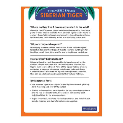 Mudpuppy: Siberian Tiger Endangered Species 300 Piece Puzzle