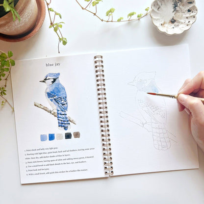 Emily Lex Birds Watercolor Workbook