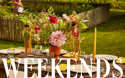 Nights and Weekends Cookbook by  Alexis DeBoschnek