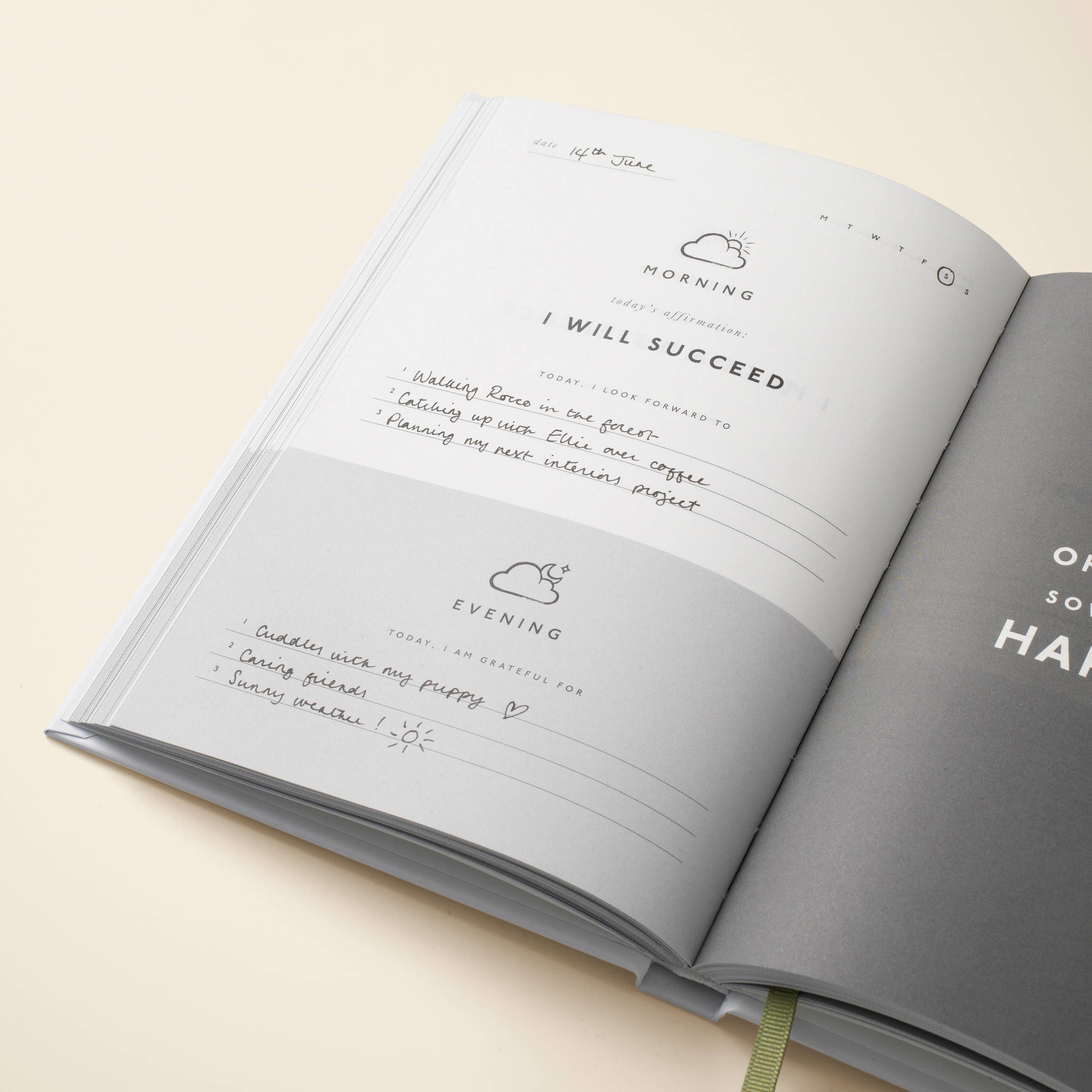 Stay Grounded  Guided Gratitude Journal