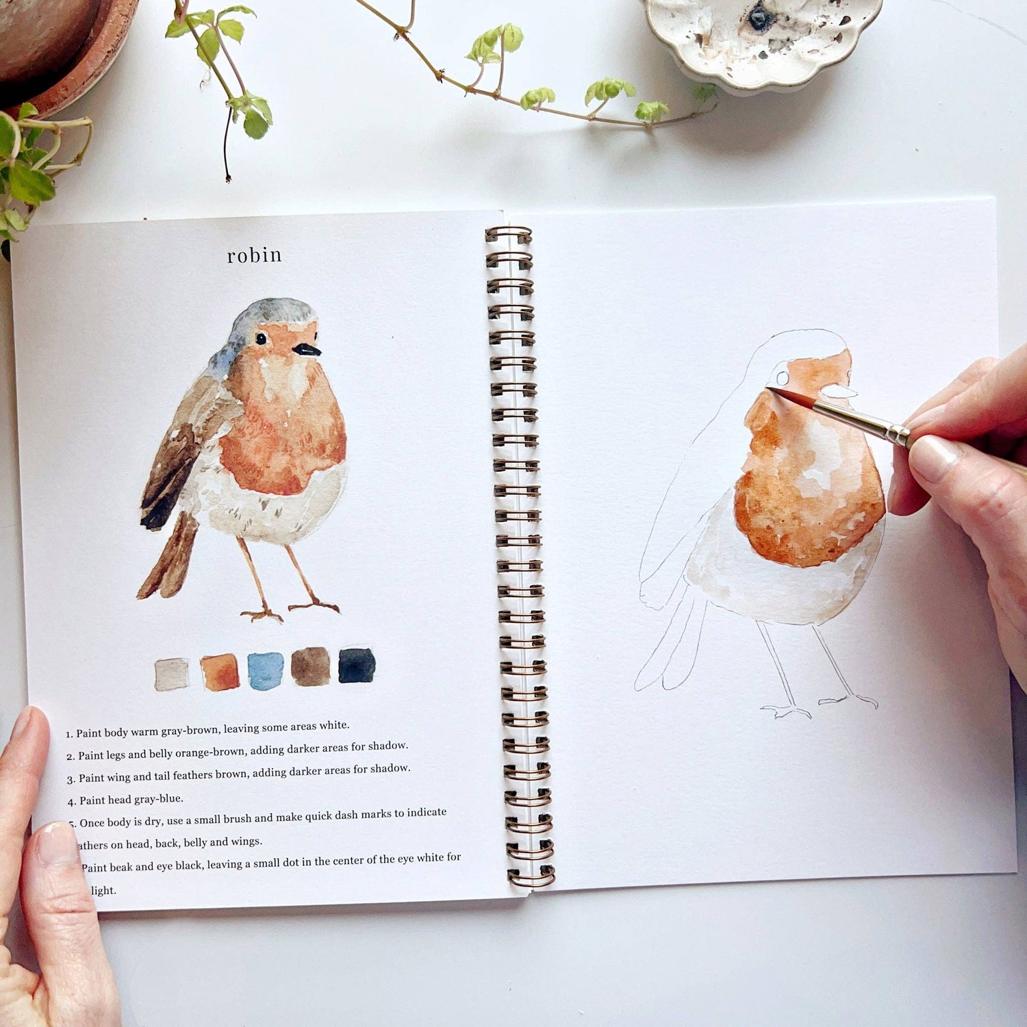 Emily Lex Birds Watercolor Workbook