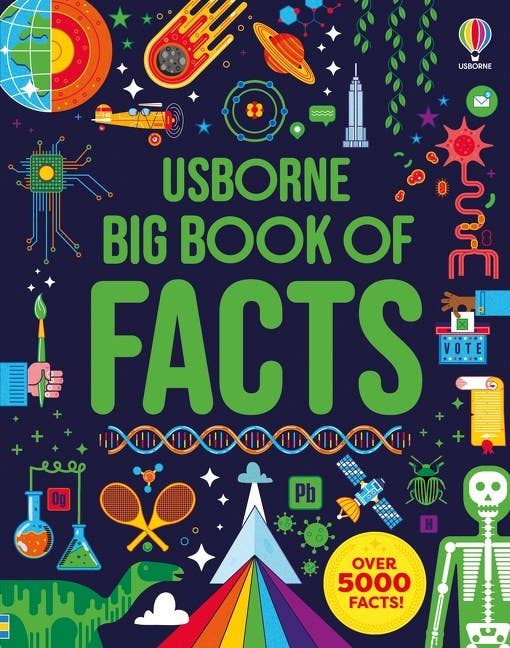 Usborne: Big Book Of Facts