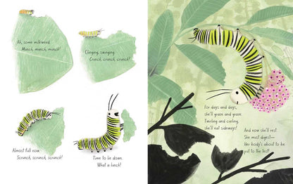 Monarch: Honeybee and Friends by Kirsten Hall
