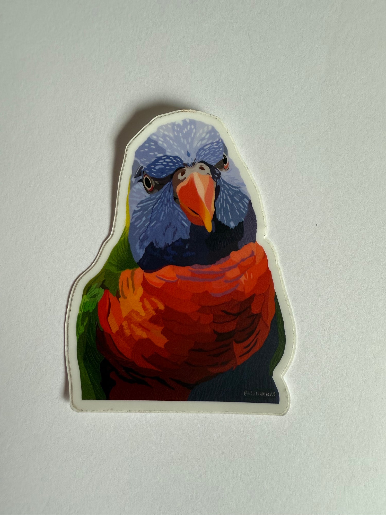 Lorikeet Sticker