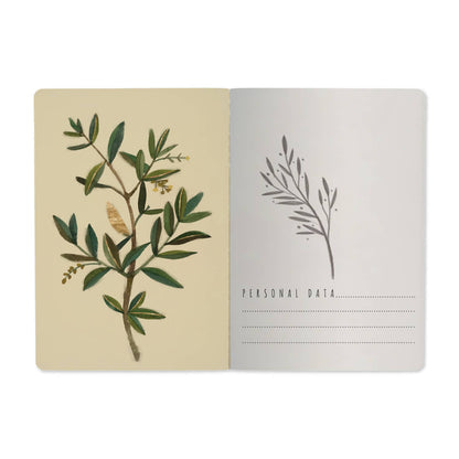 Bruno Visconti Olive Notebook 