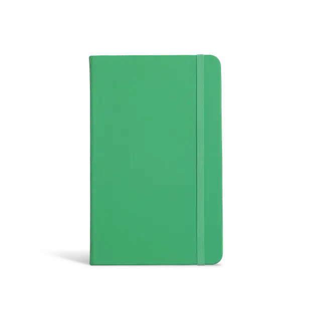 Everyday: Lined Notebook