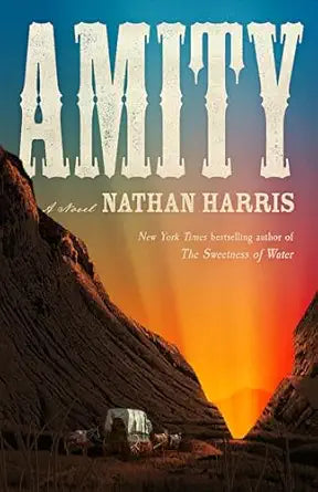 Amity: A Novel by Nathan Harris