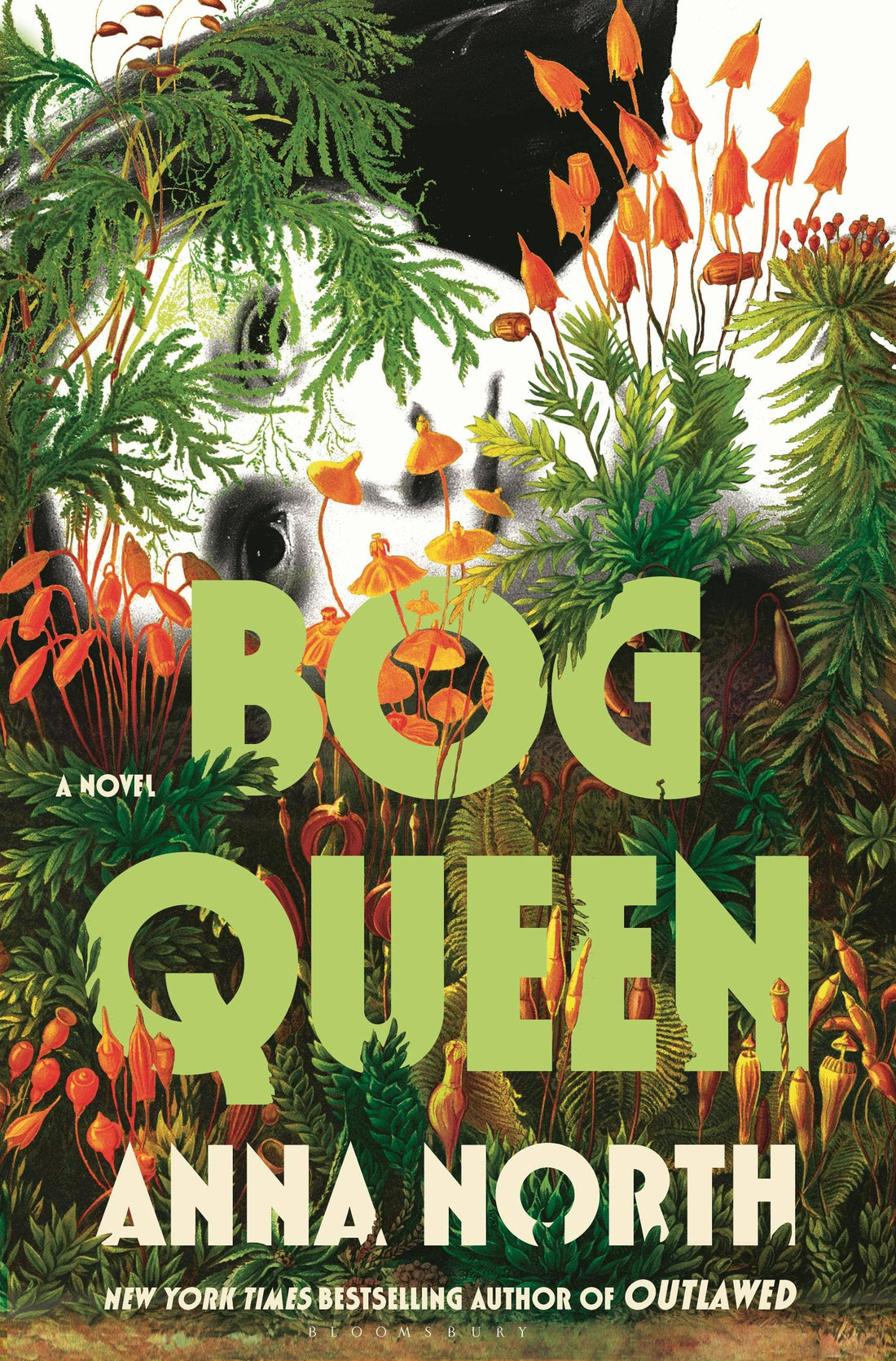 Bog Queen: A Novel by Anna North