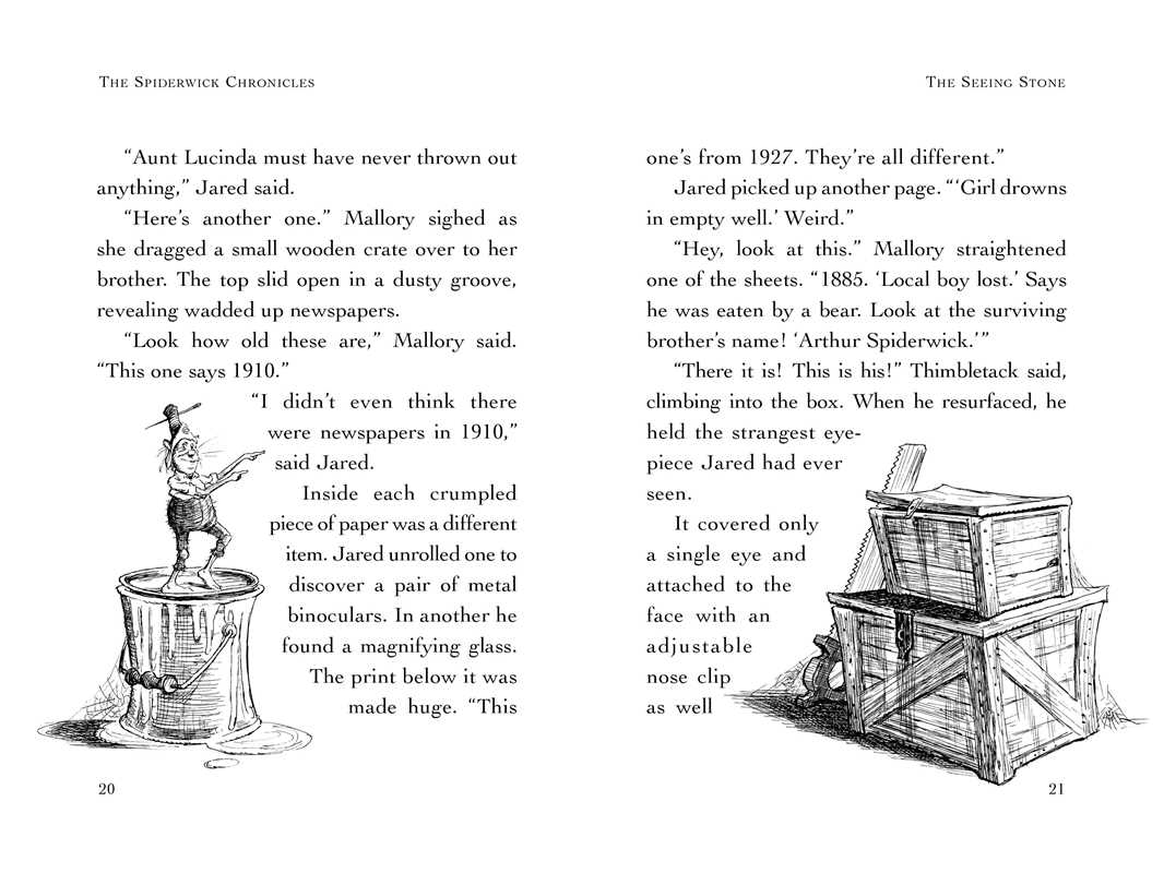 The Spiderwick Chronicles: Seeing Stone Book 2 by Tony DiTerlizzi
