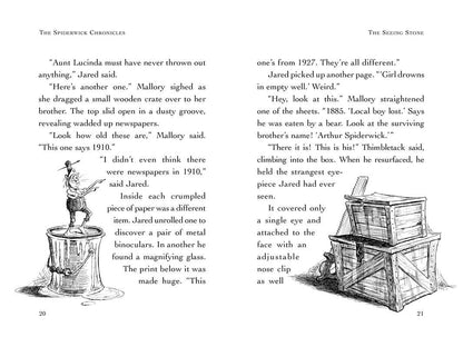 The Spiderwick Chronicles: Seeing Stone Book 2 by Tony DiTerlizzi