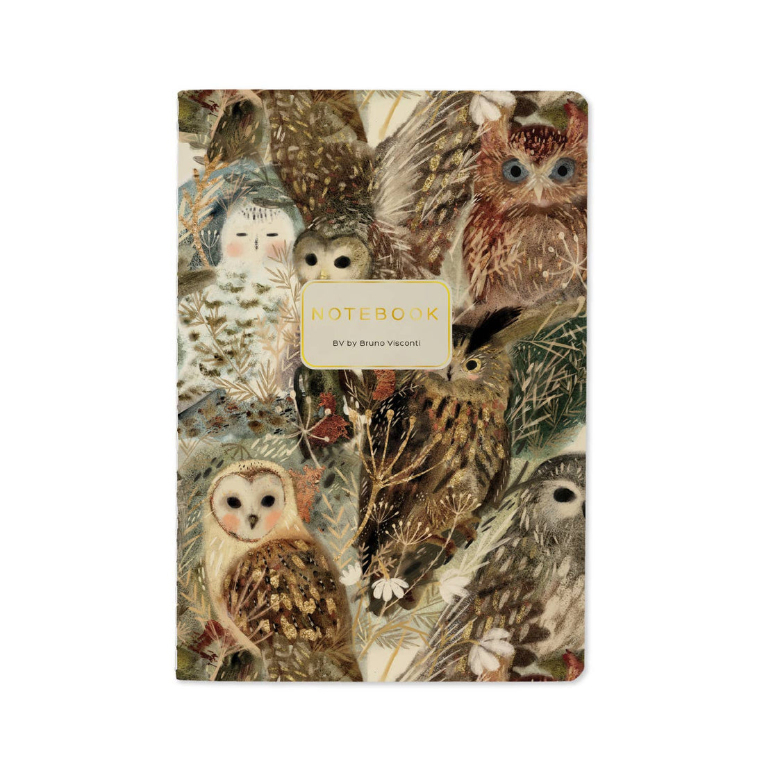 Bruno Visconti Owls Notebook