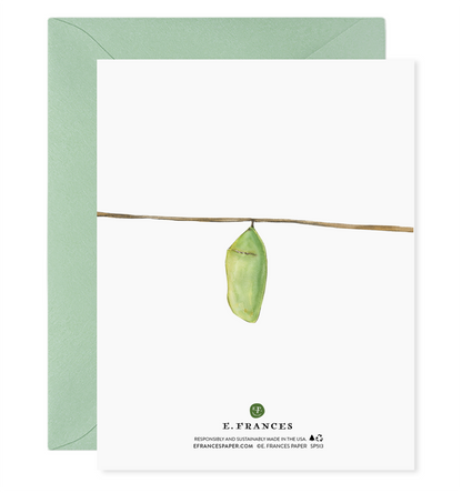 Many Phases Card Mother&