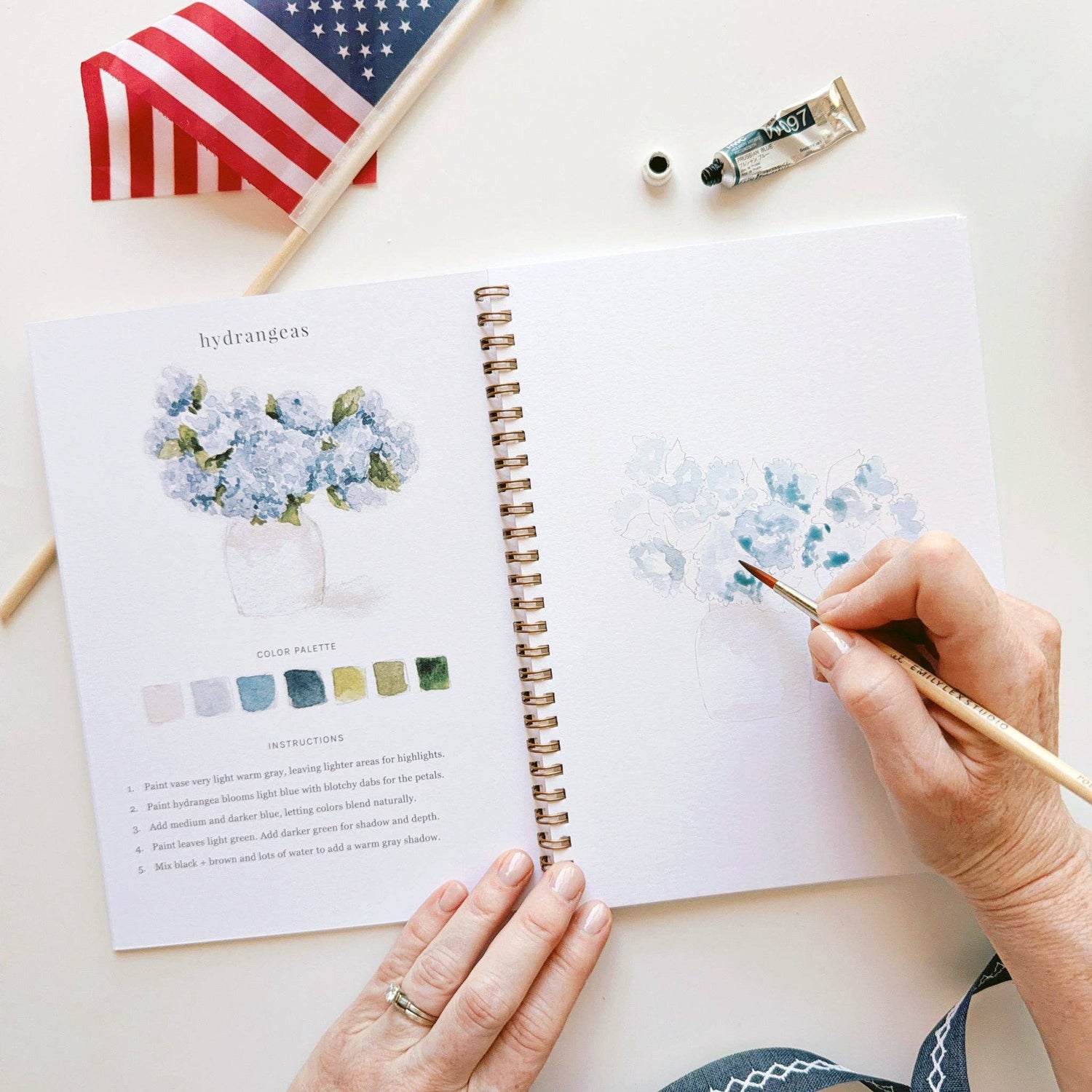 Emily Lex: Americana Watercolor Workbook