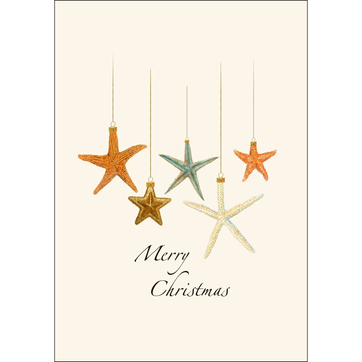 Beachcomber Christmas Assortment