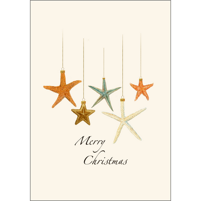 Beachcomber Christmas Assortment