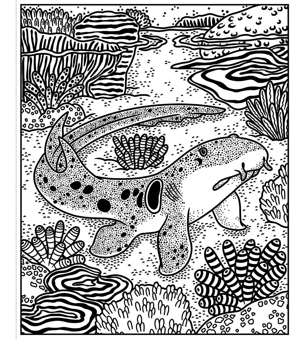 Usborne: Sharks Magic Painting Book